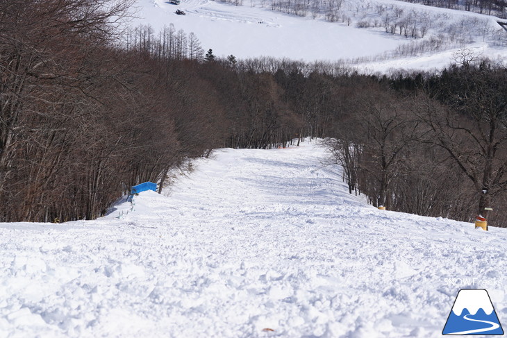 新得町・新得山スキー場 記録的な大雪でスキー場開設以来、最大積雪に到達?!